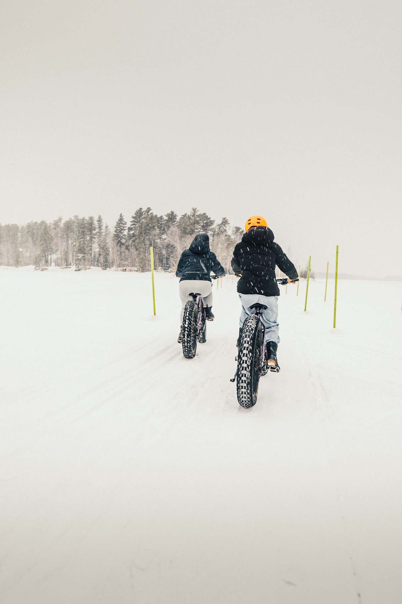 Balade en fatbike dans la neige