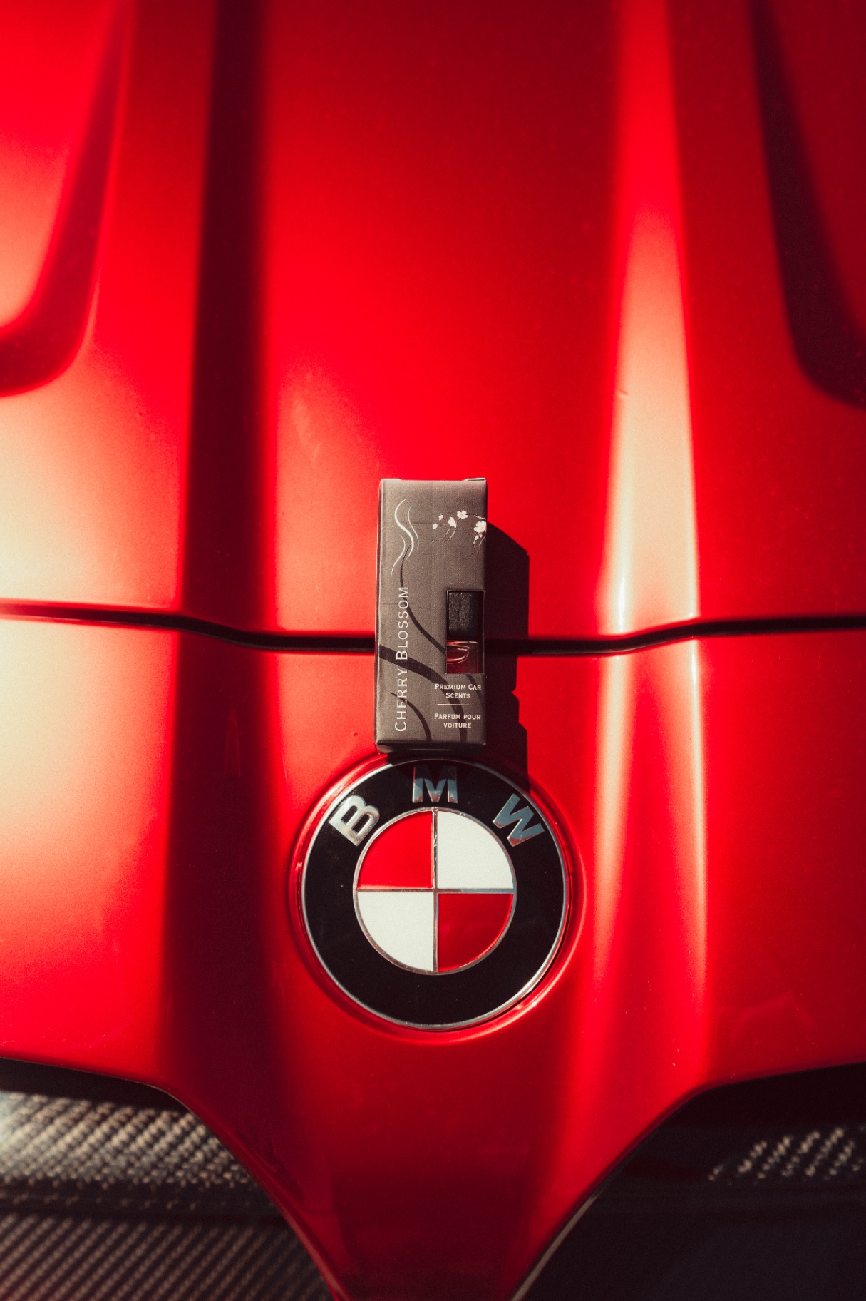 Cherry Blossom Sleek posé sur capot rouge BMW